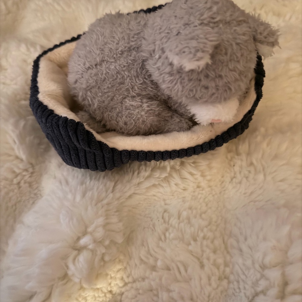 RETIRED/RARE jellycat Nipper cat - Picture 2 of 3